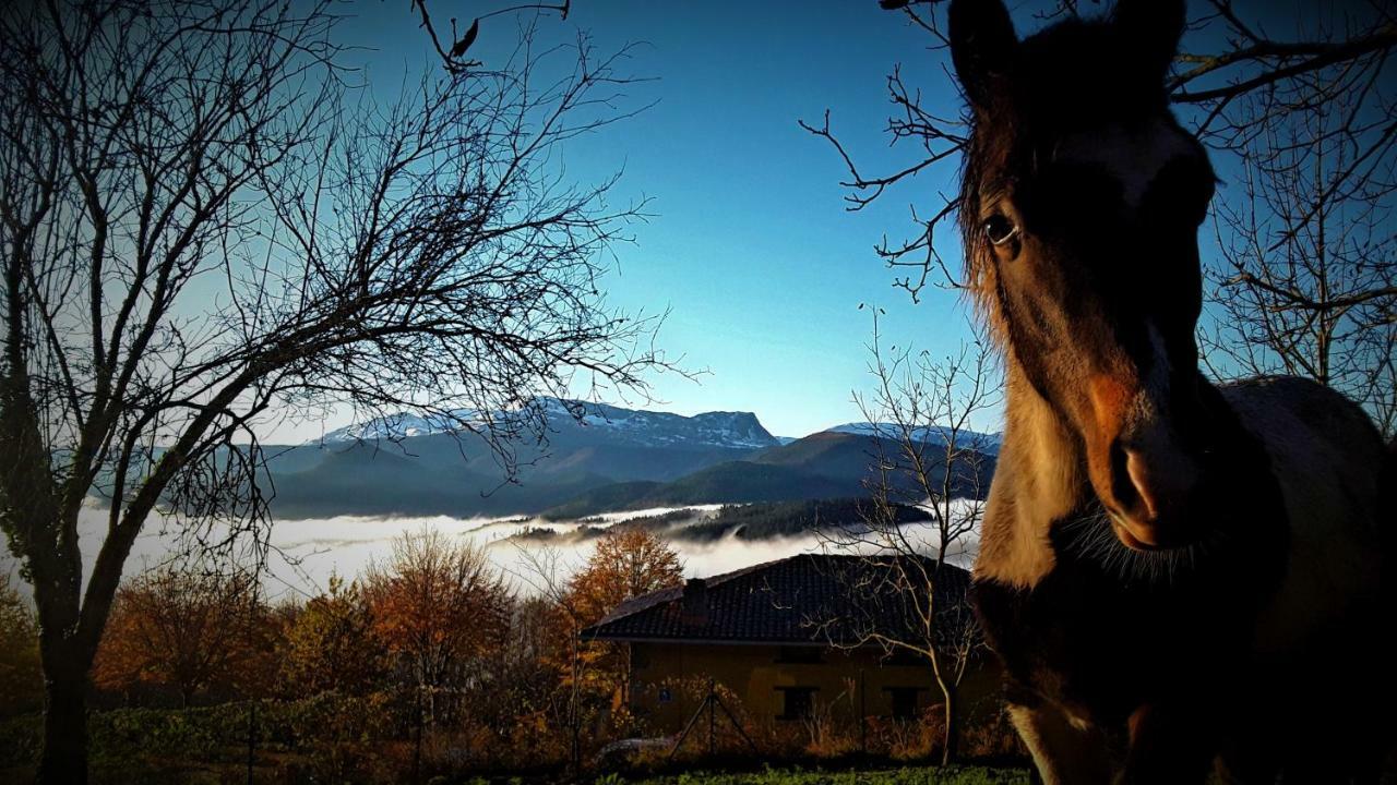 Albergue Mandoia Aterpetxea Arantzazu Bagian luar foto