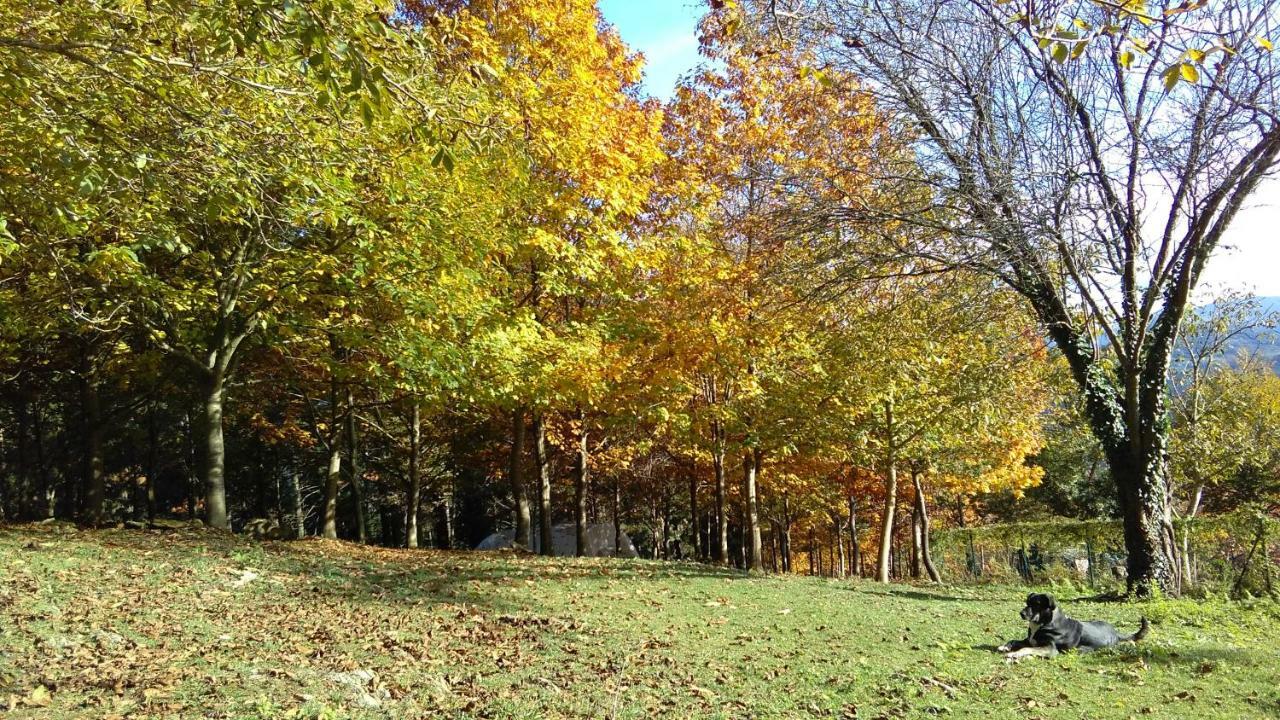 Albergue Mandoia Aterpetxea Arantzazu Bagian luar foto